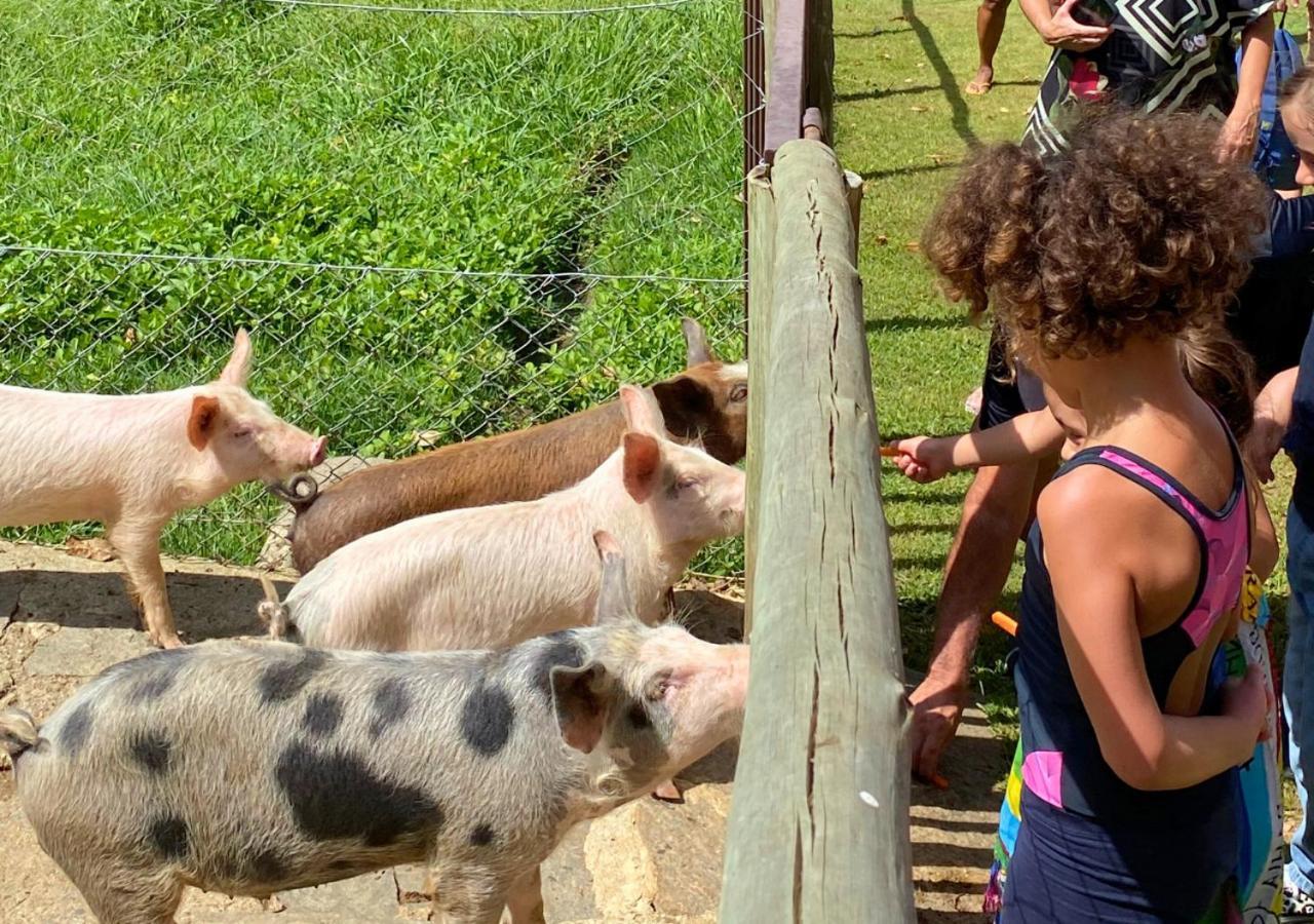 Hotel Fazenda Parador Maritacas Barra do Piraí 外观 照片